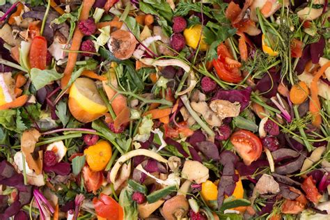 The Pros and Cons of Dehydrating Food Waste 